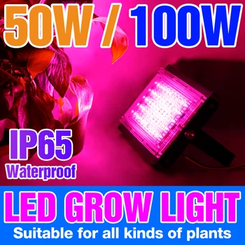  светодиодный светильник для выращивания растений Гидропонная фитолампа полного спектра для выращивания растений Семена овощей Теплица Палатка для выращивания Прожектор