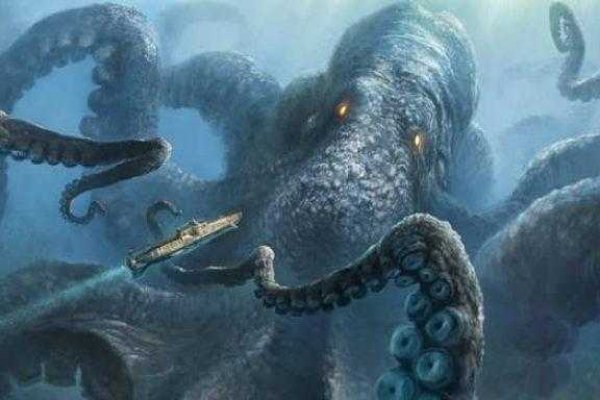Kraken online
