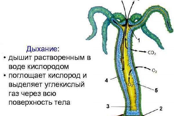 Кракен даркнет store