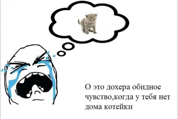 Кракен войти сегодня