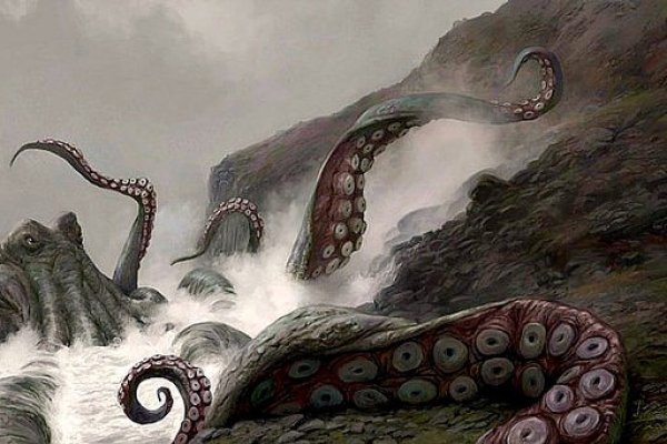 Kraken 17 at net