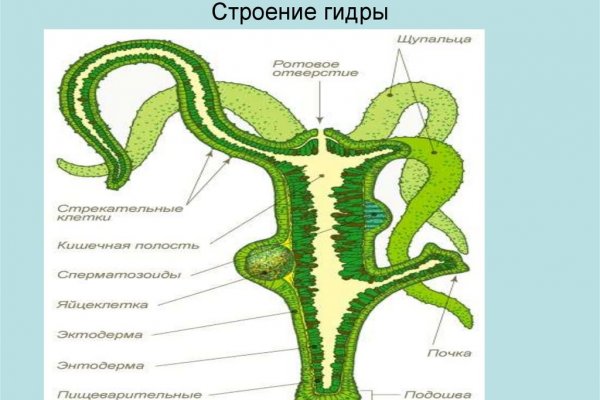 Кракен ссылка pw