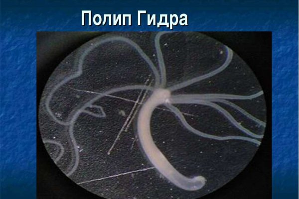 Кракен даркнет ссылка kraken link24 info