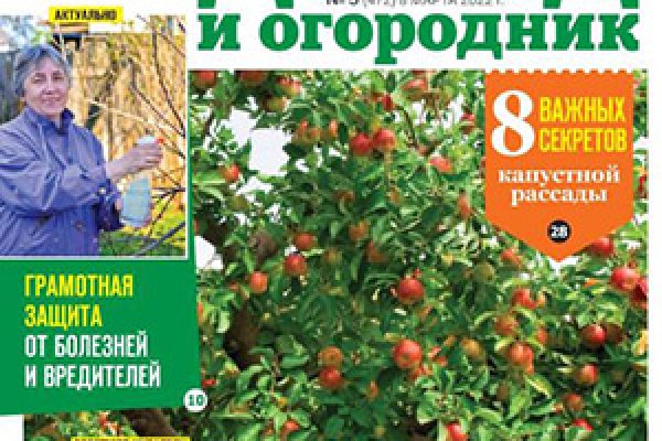 Кракен ссылка онион зеркало