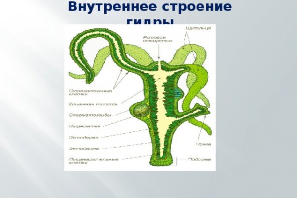 Кракен маркет даркнет только через тор скачать